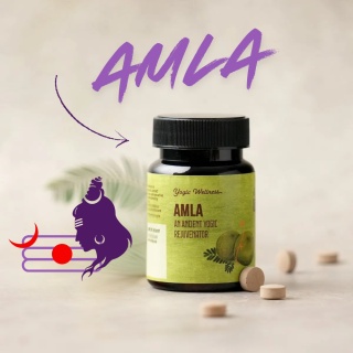 Amla Tabletki 60 szt. 